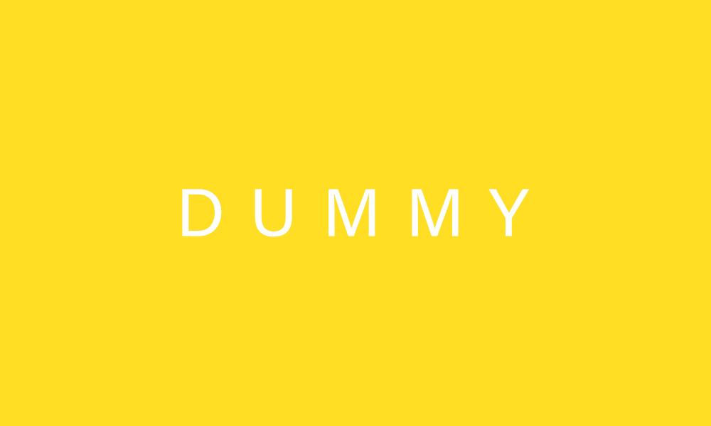 dummy